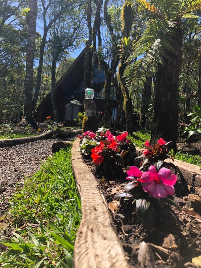 A Cabana Sao Chico Sao Francisco de Paula  Exterior photo